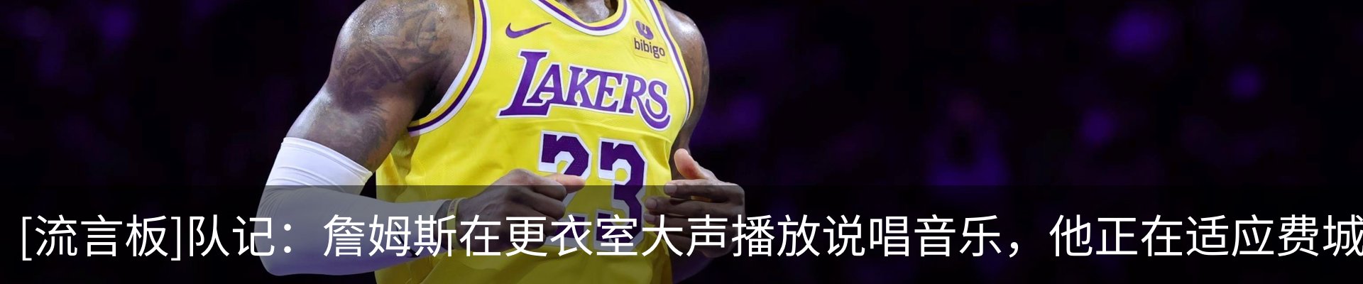 最新动态